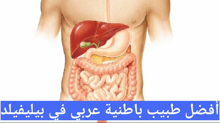 أفضل دكتور باطنية عربي في بيليفيلد
