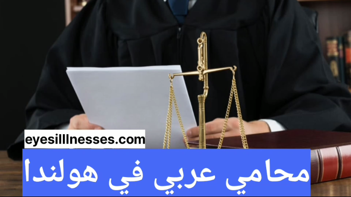 محامي عربي في هولندا – ارقام محامين عرب في هولندا