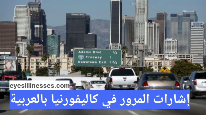 إشارات المرور في كاليفورنيا بالعربي