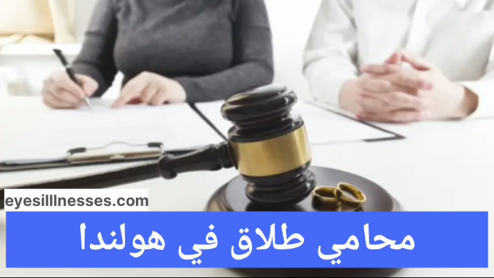محامي طلاق في هولندا