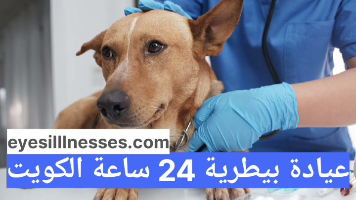 عيادة بيطرية 24 ساعة الكويت