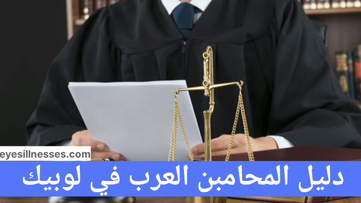 دليل المحامين العرب في لوبيك Arabischer Anwalt in Lübeck